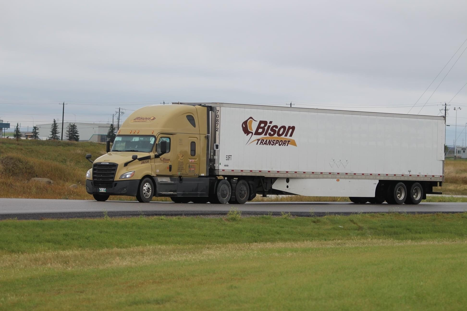 Bison Transport truck