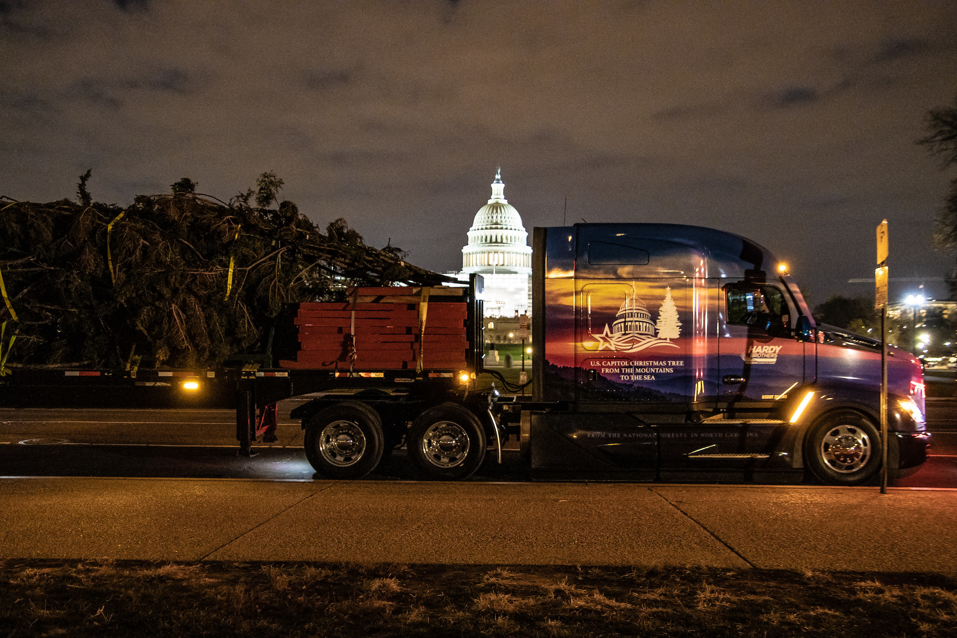 U.S. Capitol Christmas Tree in D.C. at night