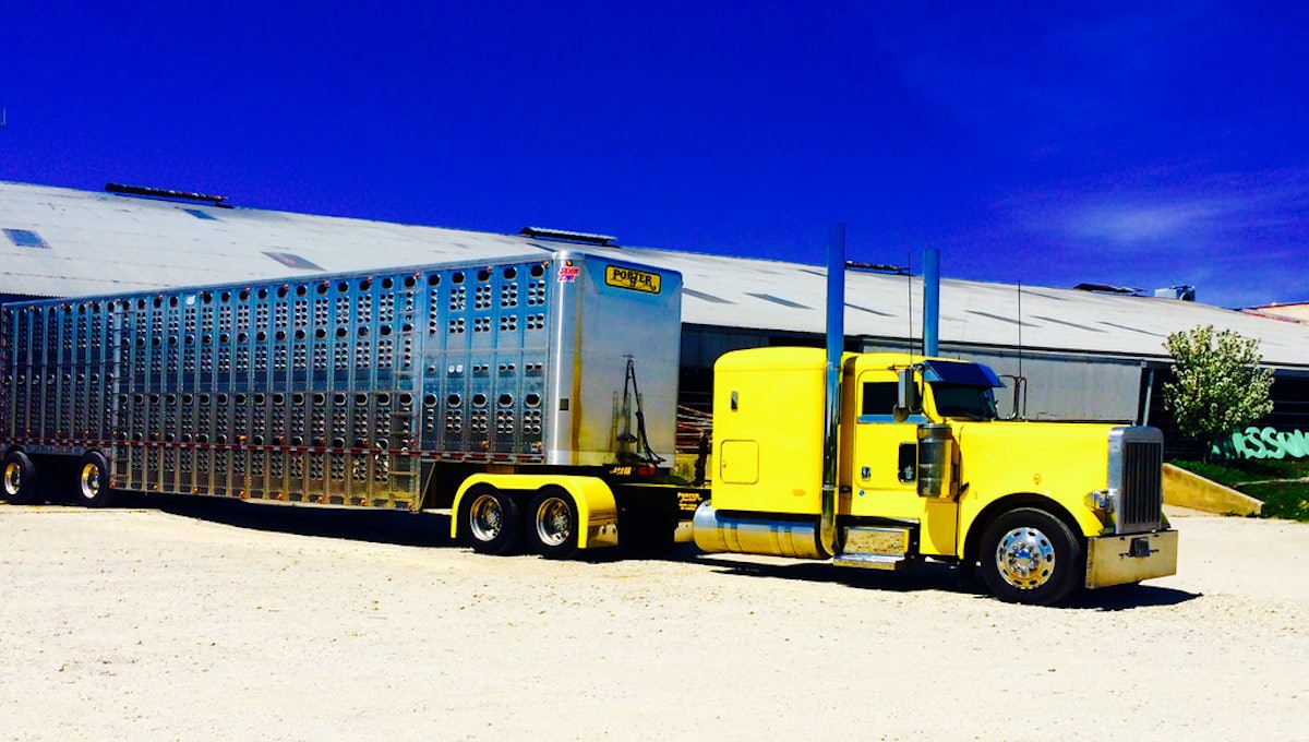 FMCSA denied extended trucking hours for agriculture - Texas Farm Bureau