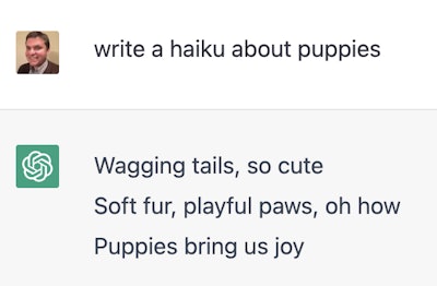 Ask Chat GPT a question about puppies