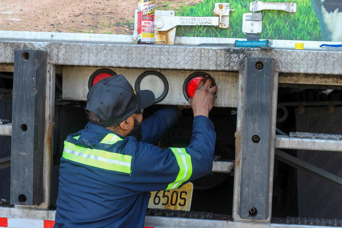 Cream O Land, Linden, N.J.