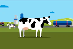 Chevron is one of several RNG players working to step up availability of the increasingly popular fuel. 'Chevron works with our partners in the United States to convert methane from cow waste into RNG for use in heavy-duty vehicles,' the company states on a website page dedicated to RNG.