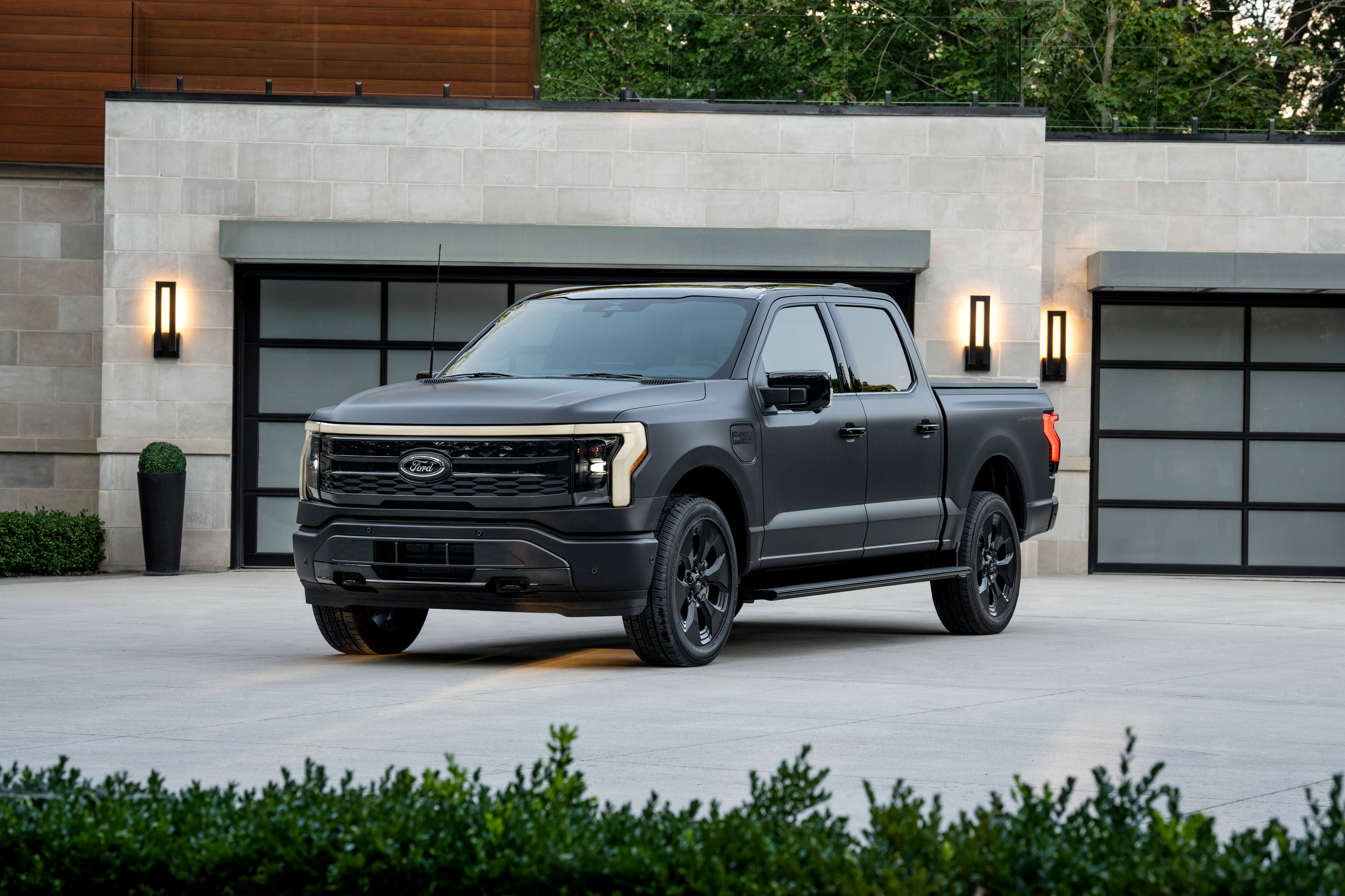 F 150 Lightning Platinum Black Driver Side