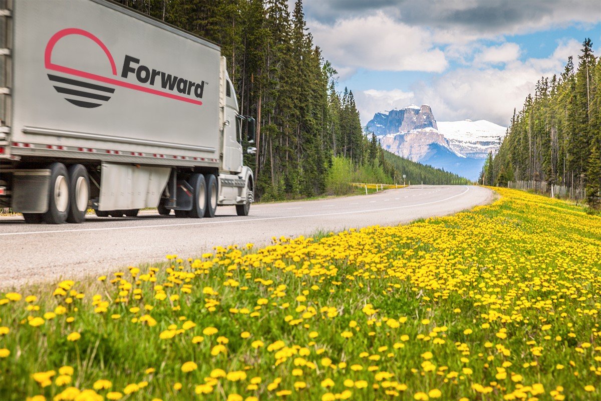 425712006 777019554454020 8570049548660407000 N