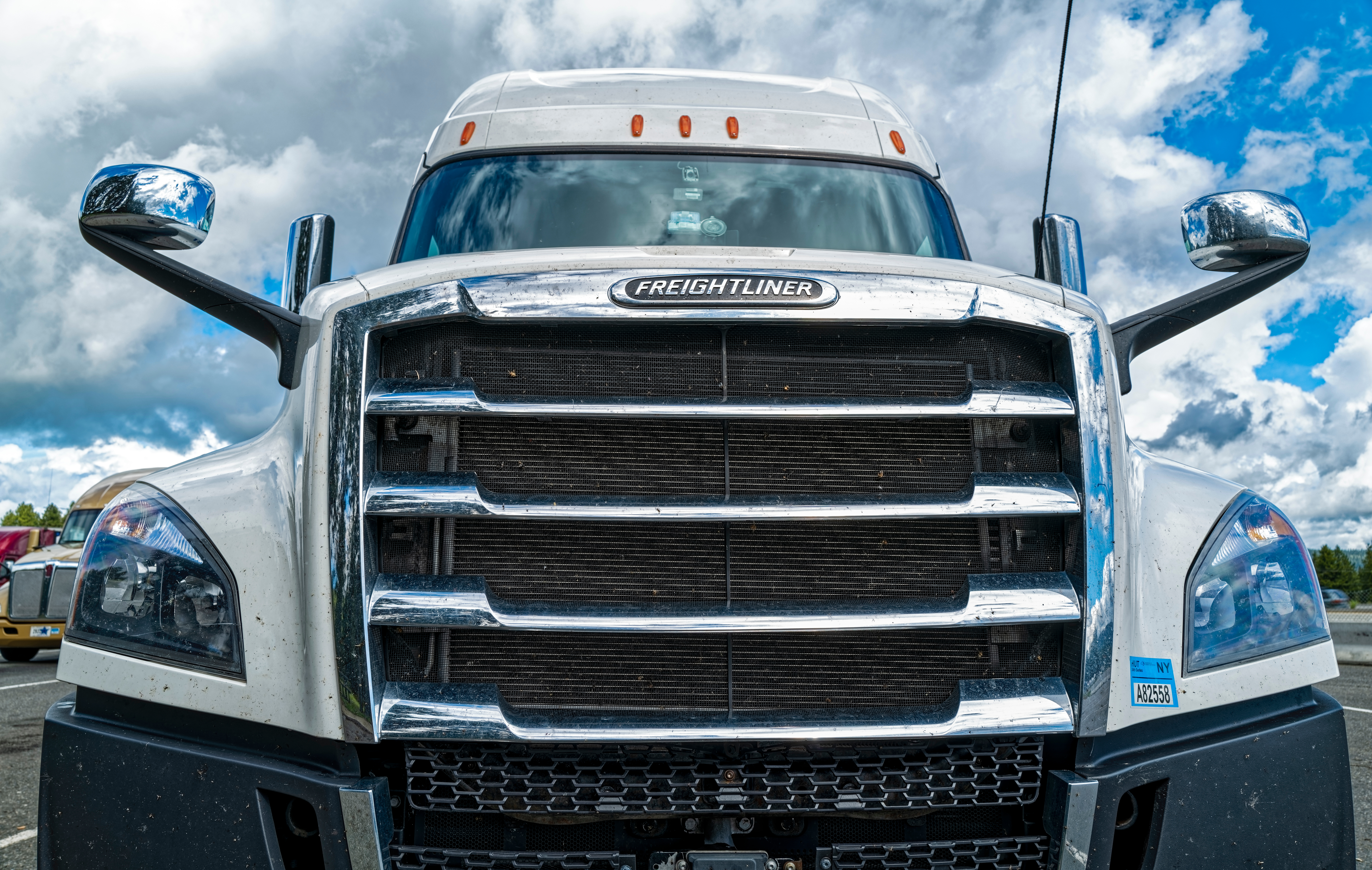 Freightliner Truck grille
