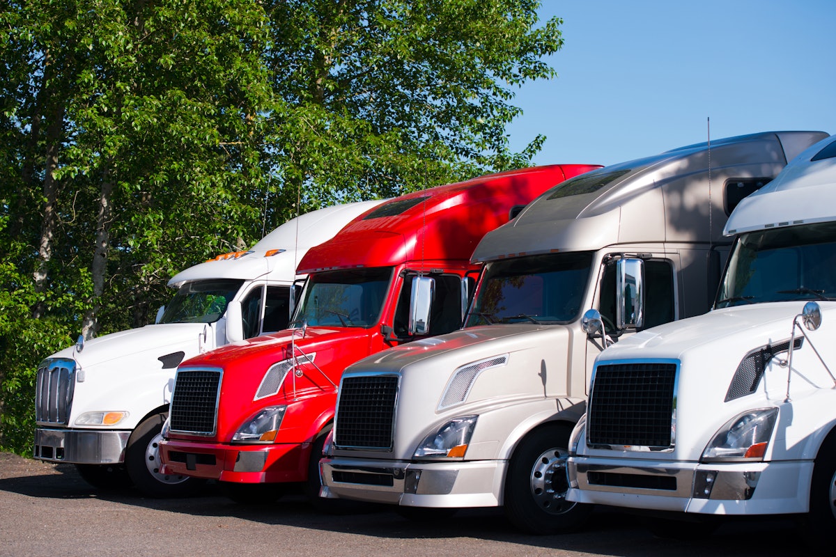 Weak market hits fleets’ earnings, but some fight on