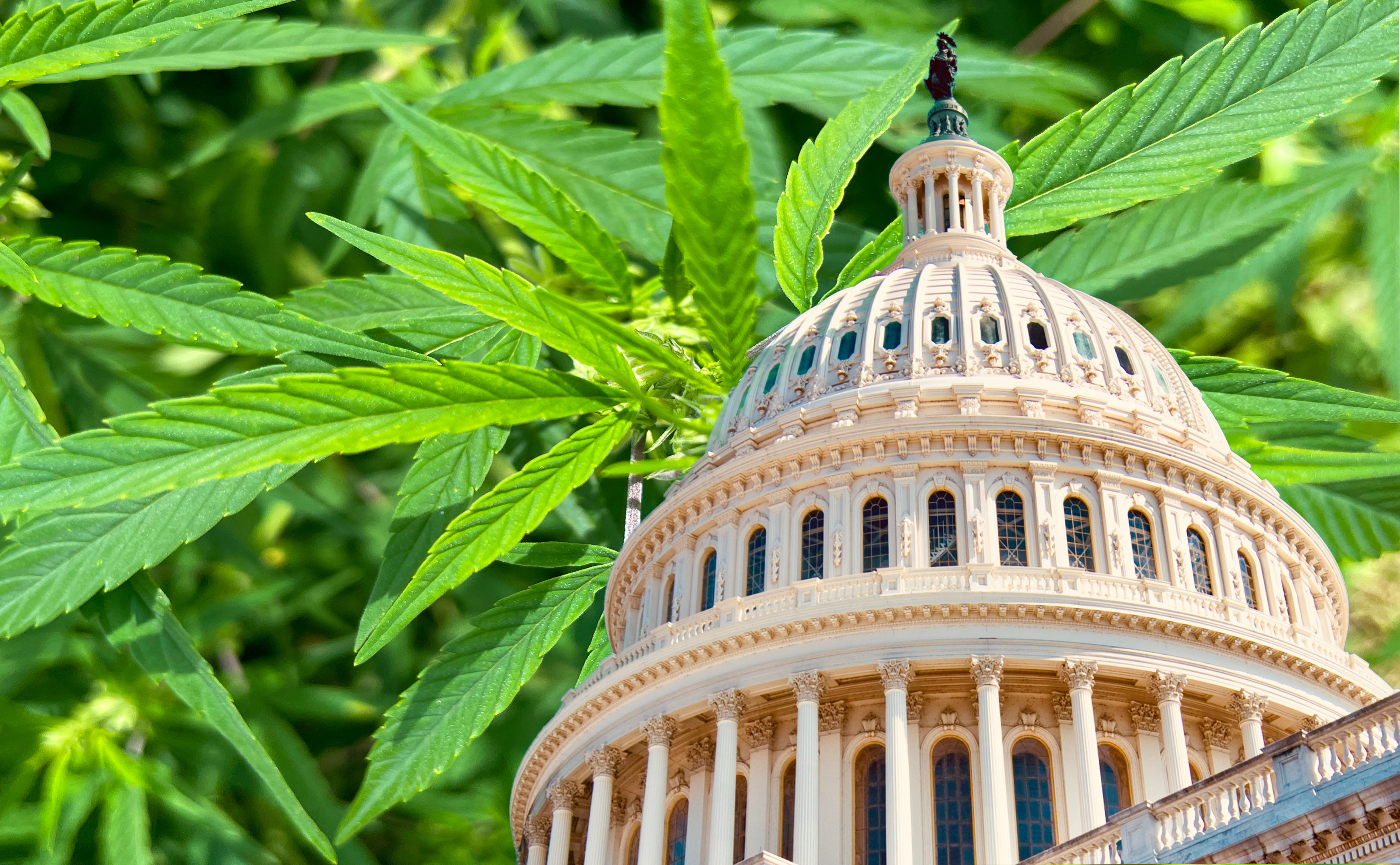 marijuana and U.S. Capitol