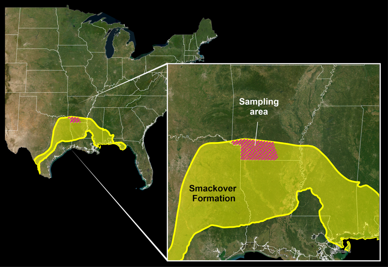 Arkansas lithium reserve