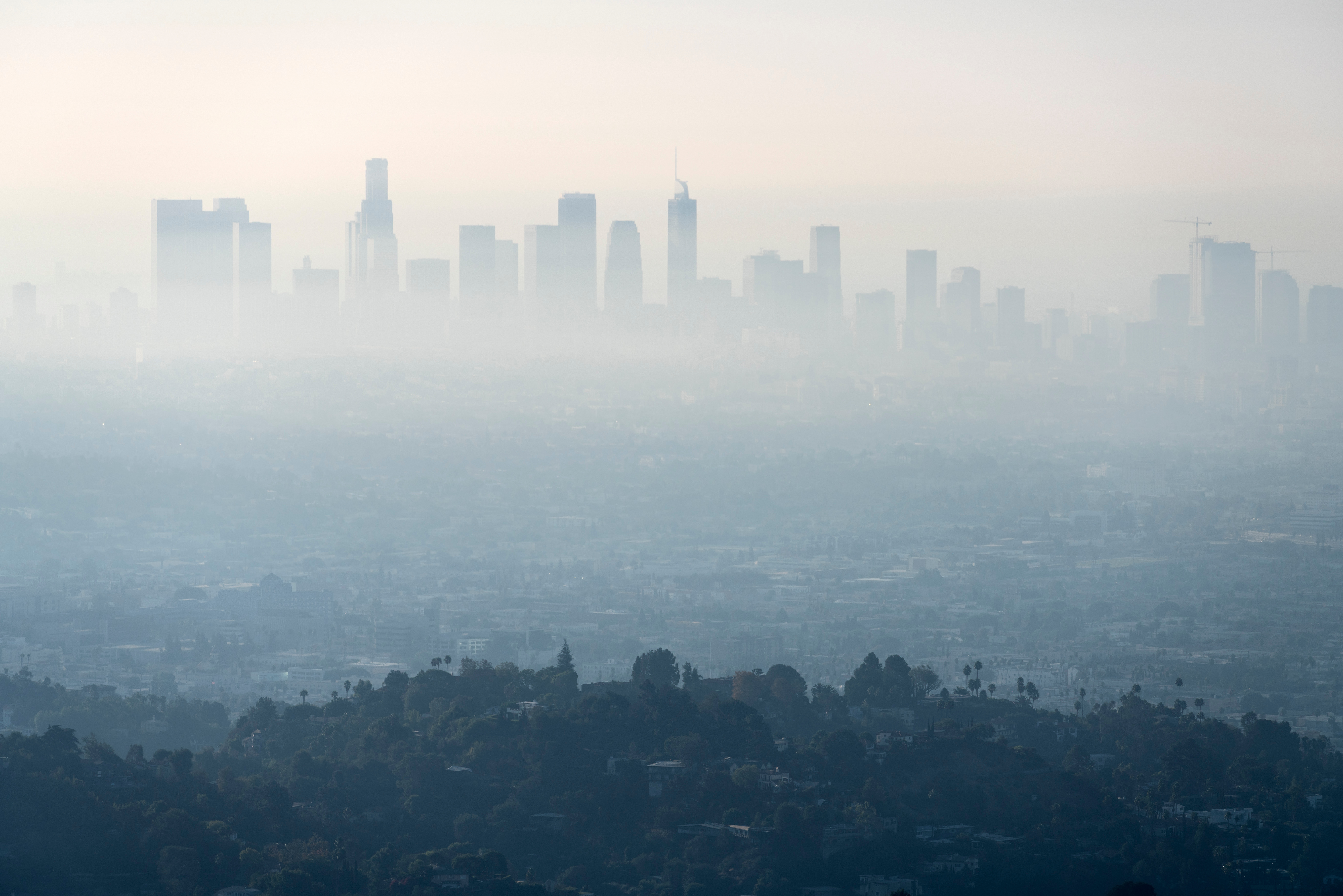 Los Angeles buildings in Southern California covered by smog.