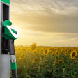 Bio fuel pump and flowers