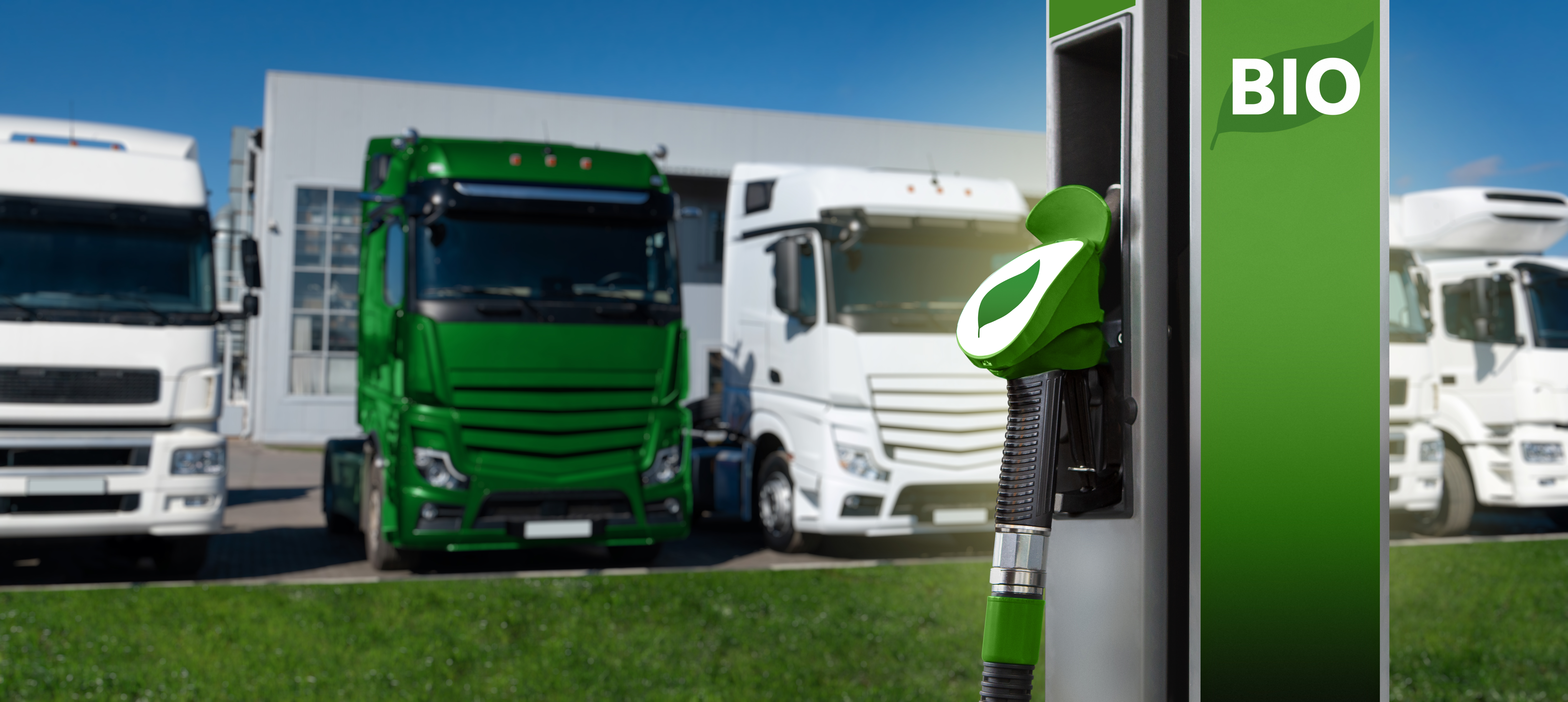 Biodiesel pump for fleets