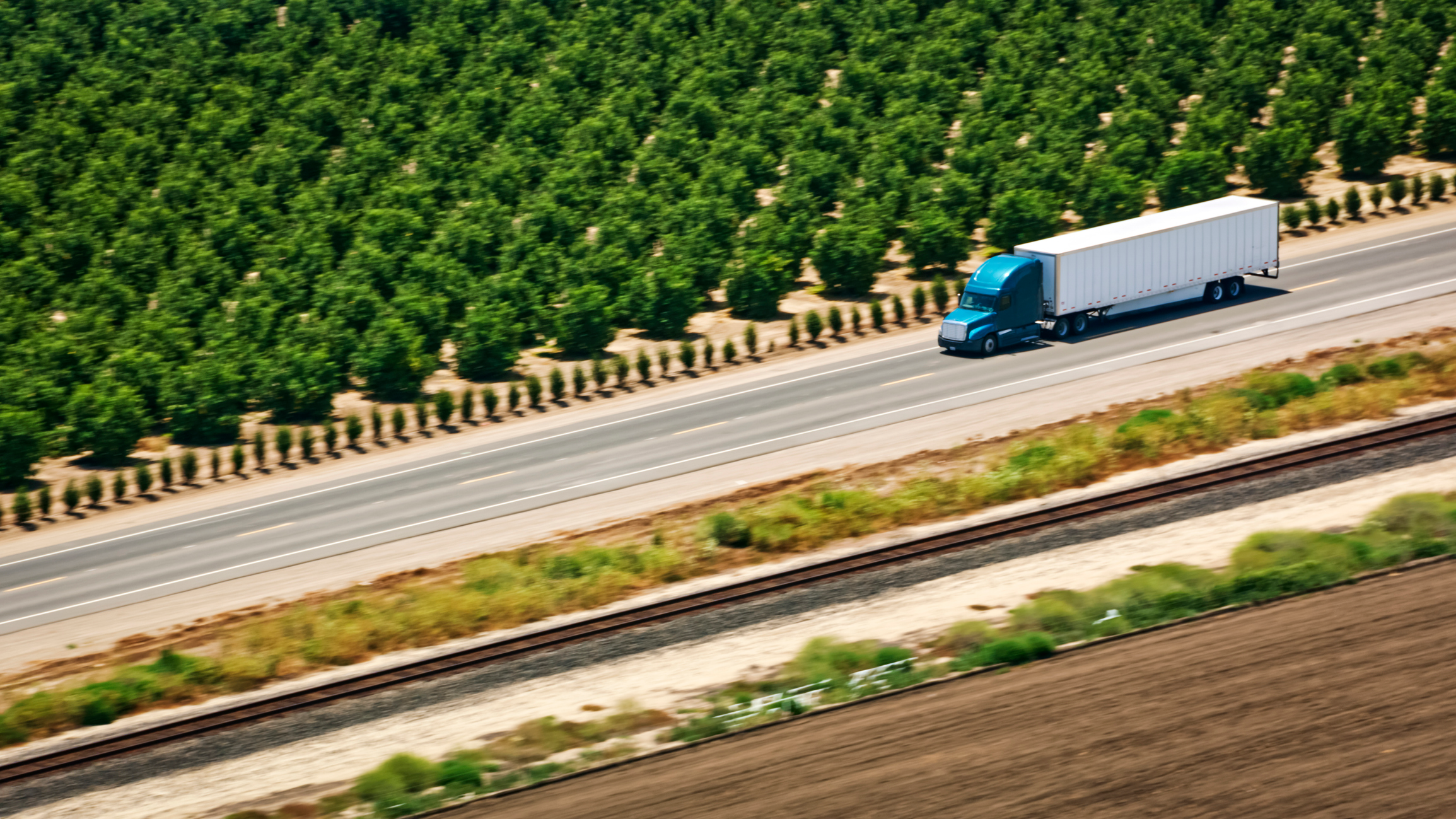 Truck in California by trees