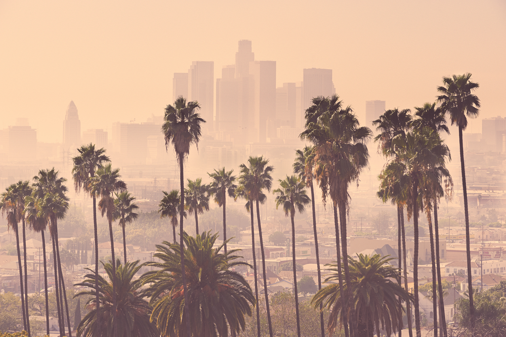 Los Angeles distance view with smog and palm trees