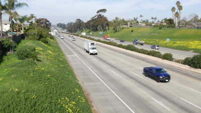 Highway with vehicles passing through lush green landscape with yellow wildflowers