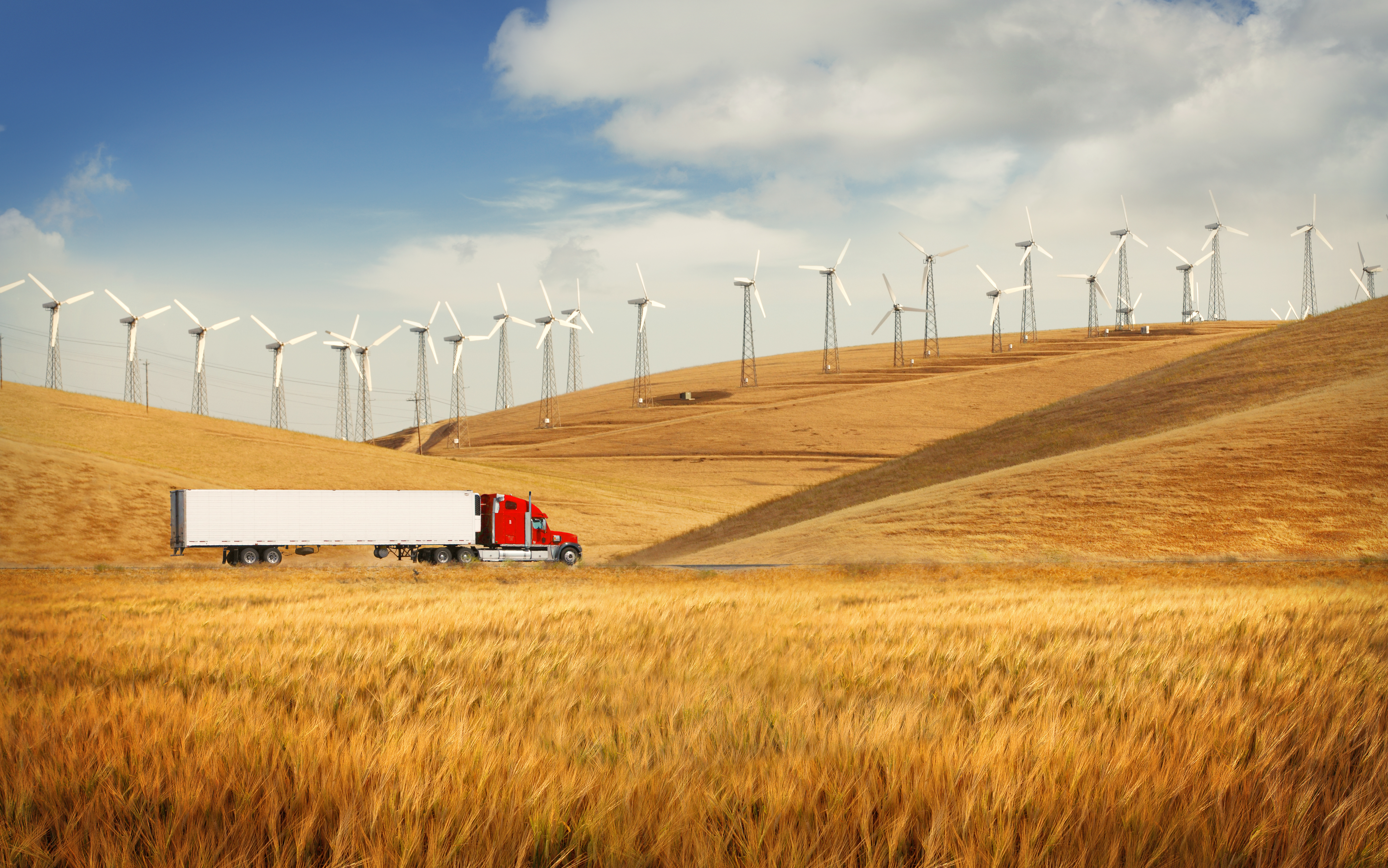 Nearly a dozen states, led by California, are taking action to preserve their ability to set their own vehicle emissions rules.