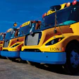 Row of yellow and blue Lion Electric school buses parked against blue sky