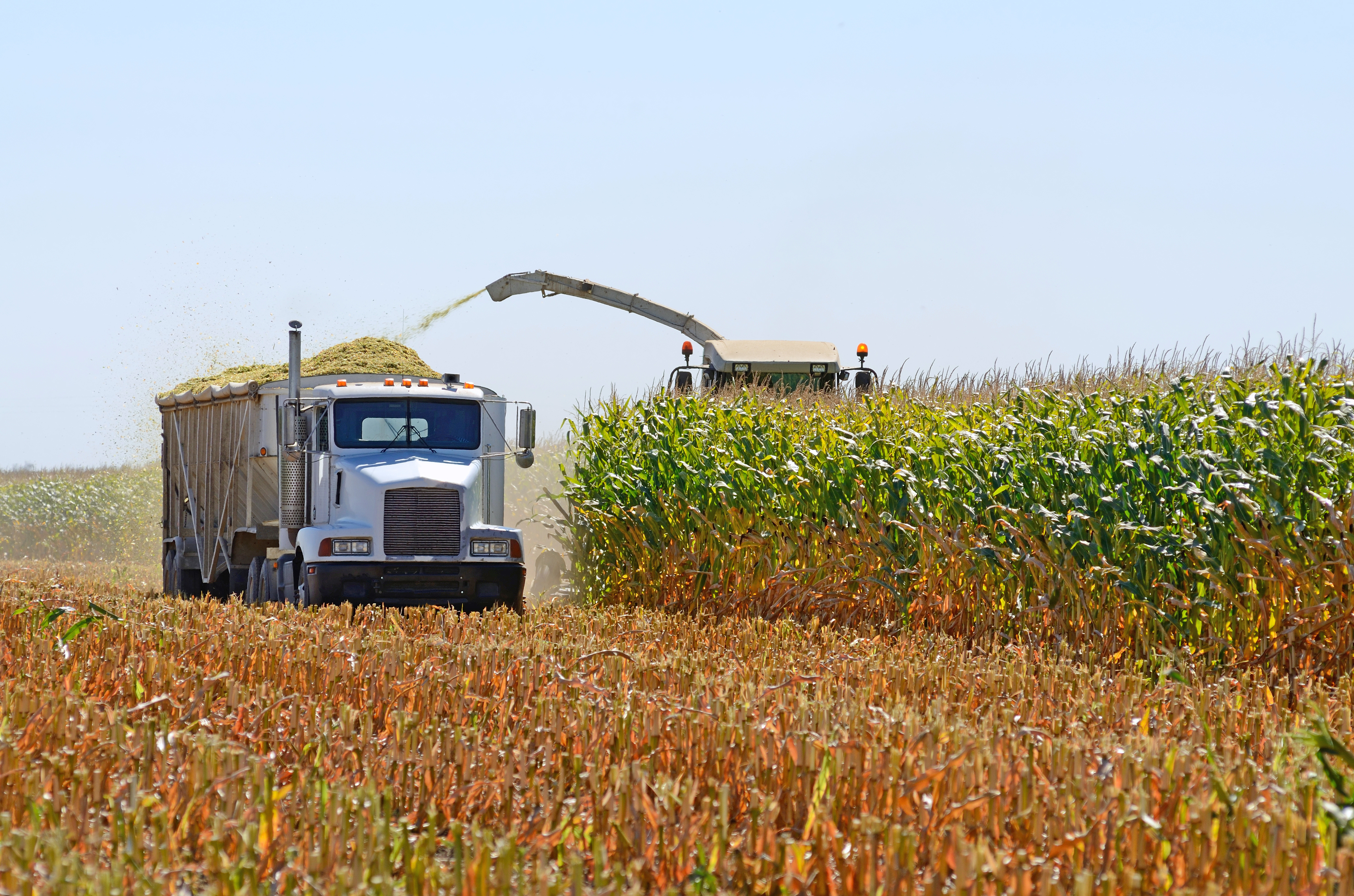 Truck Agriculture Farm Adobe Stock 86251944
