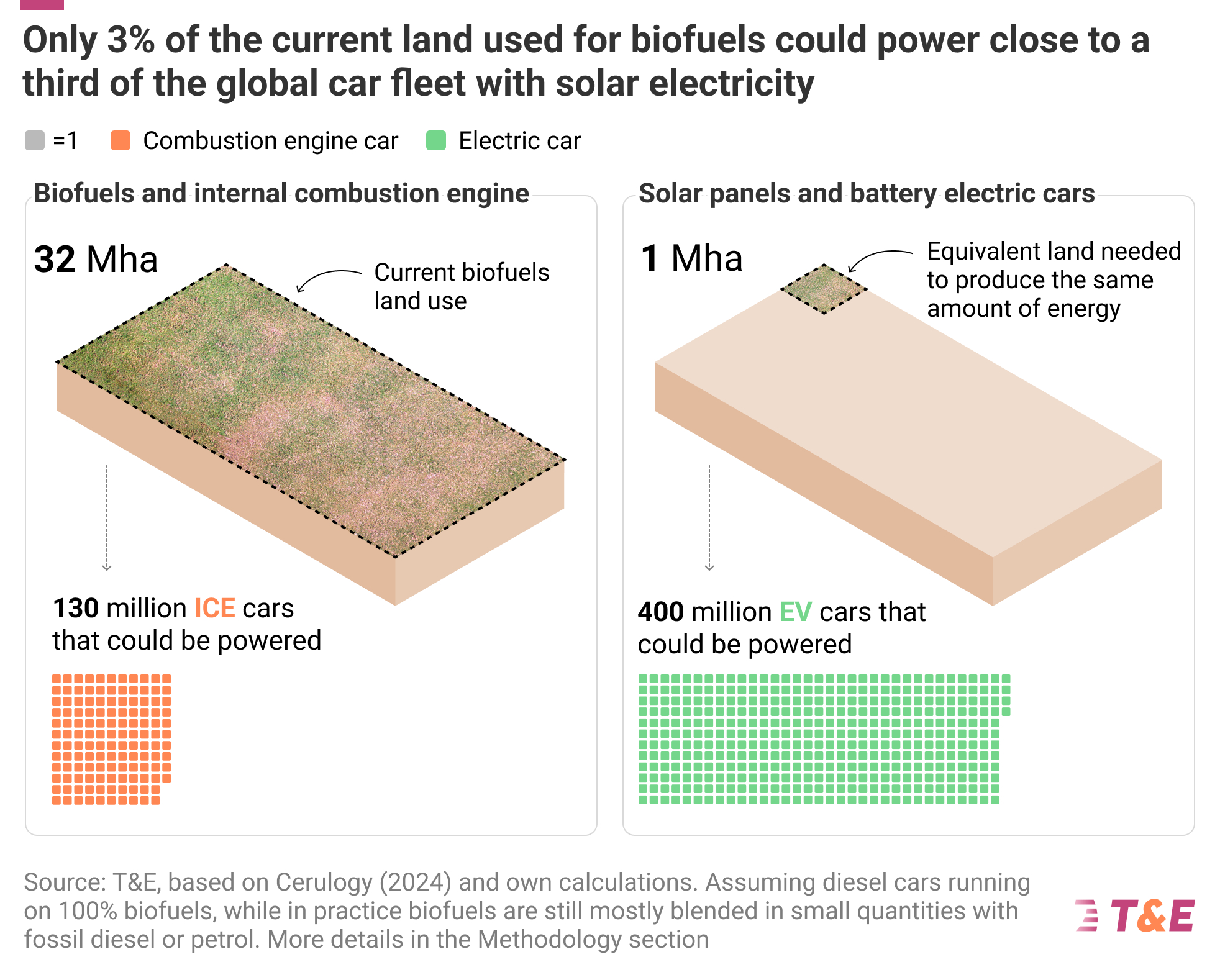 2025 Biofuels