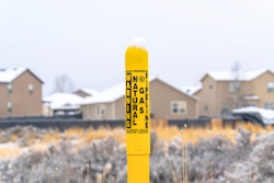 Adobe Stock 402789701