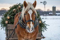 Adobe Stock 1754261223