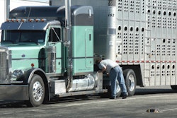 Livestock Truck Driver Adobe Stock 1114743693