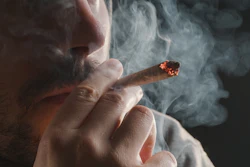 Adobe Stock 478021137