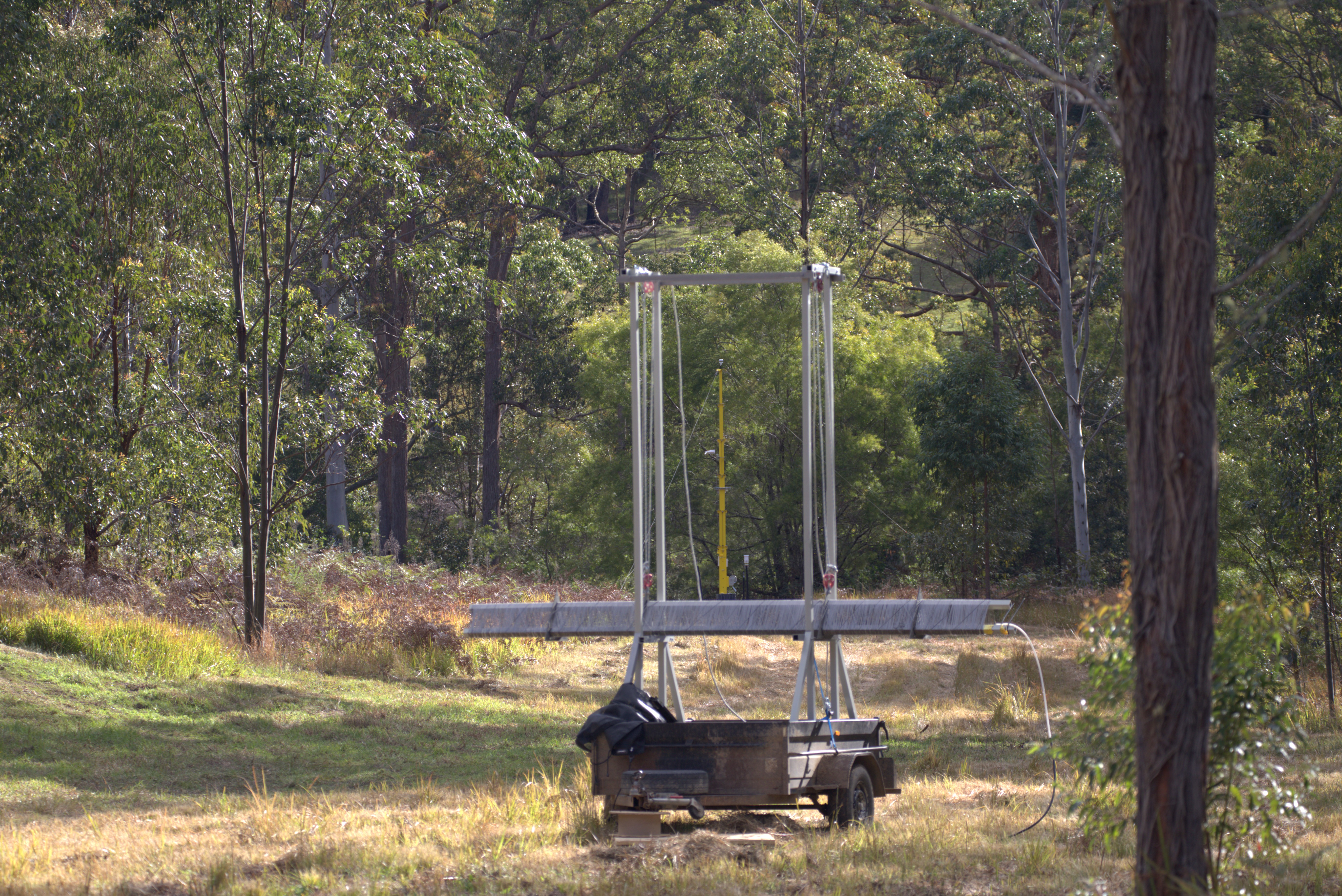 Trampoline with safety enclosure in a wooded backyard surrounded by tall trees and grass