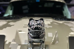 Chrome Mack Trucks bulldog hood ornament mounted on white truck hood