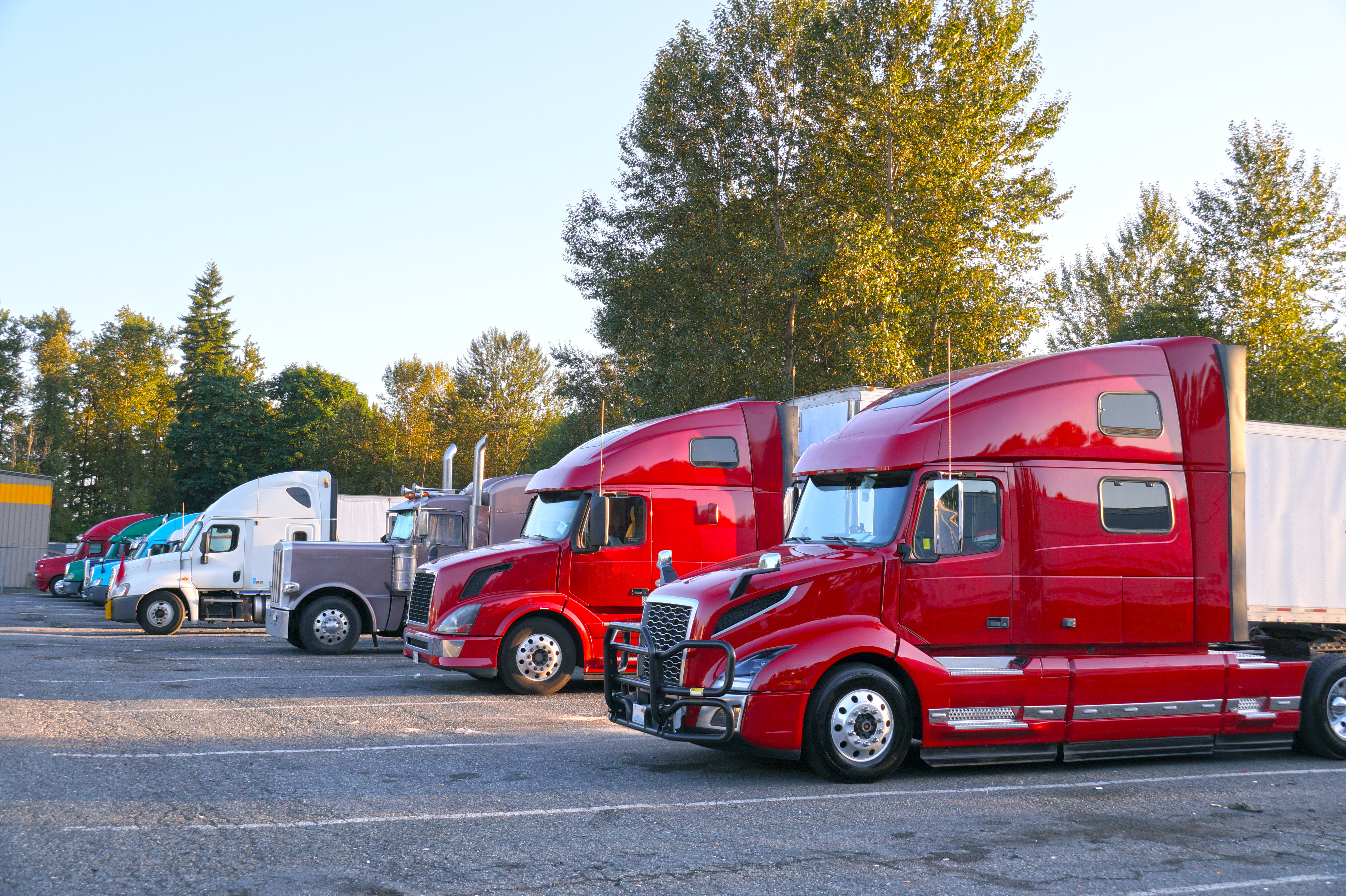 Fleet of red and white semi-trucks parked in a row at a truck stop with autumn trees in the background